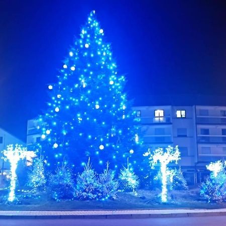 Appartement Chaleureux Remiremont Buitenkant foto
