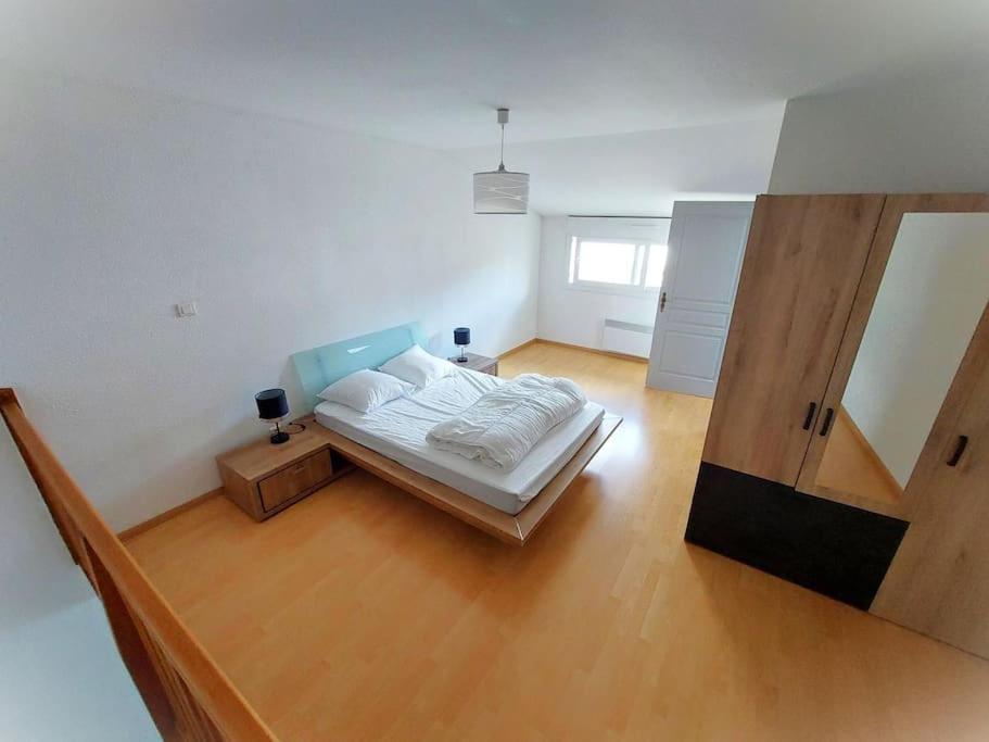 Appartement Chaleureux Remiremont Buitenkant foto