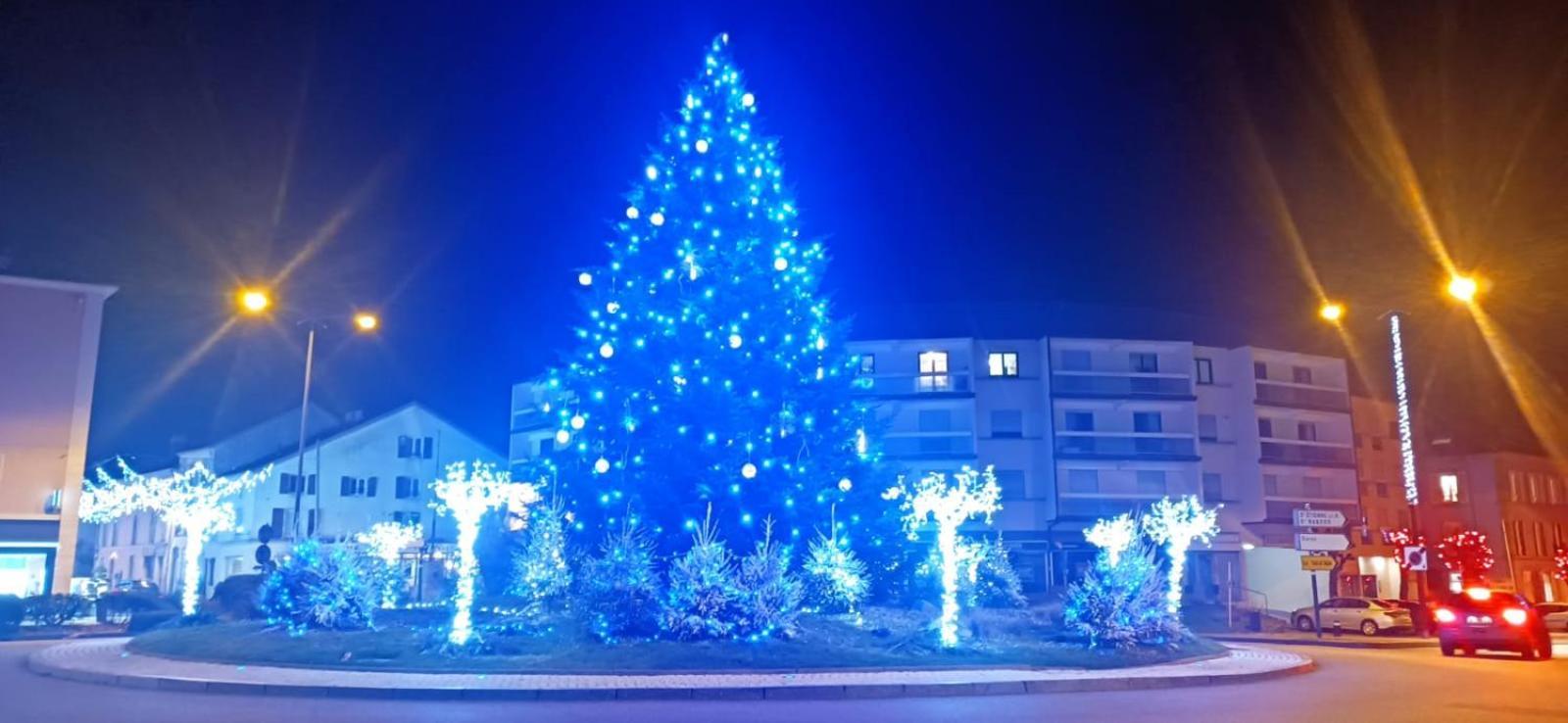 Appartement Chaleureux Remiremont Buitenkant foto